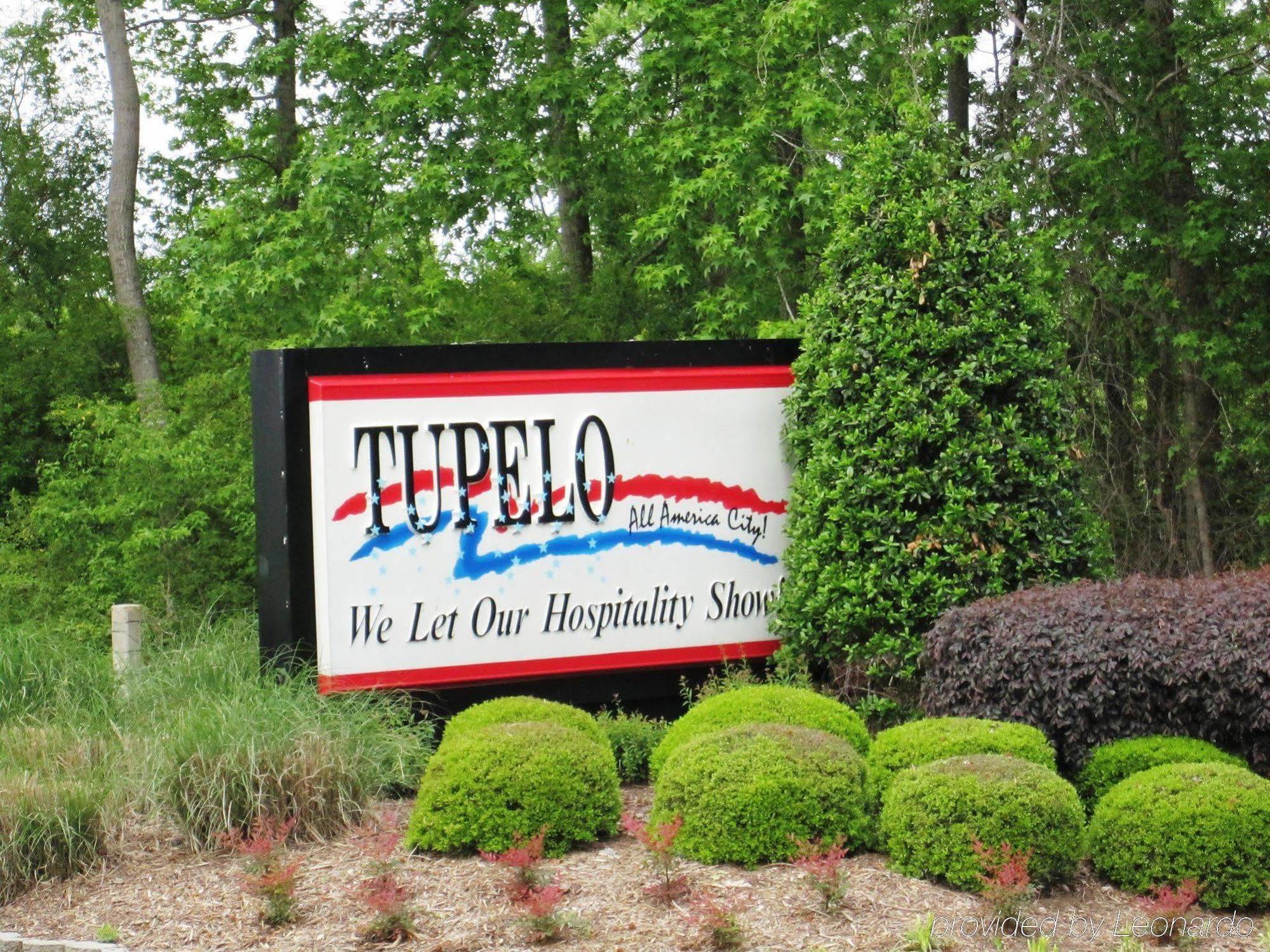 Hampton Inn & Suites Tupelo/Barnes Crossing Екстериор снимка